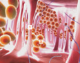 fat_micro